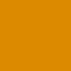 RW12.6 - Dried Apricot Orange Solid - hex dc8a00