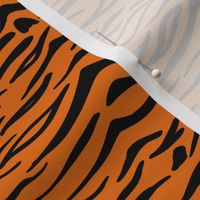 Abstract Striped Animal Prints