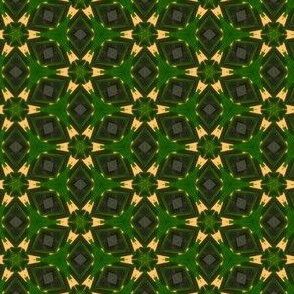 Orange Abstract Flowers with Dark Green