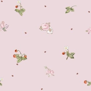 Versailles Marie’s Mignonette Strawberries Tossed Buttercream Rose Pink 