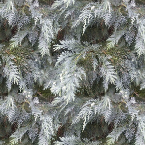 Silver Cypress fabric