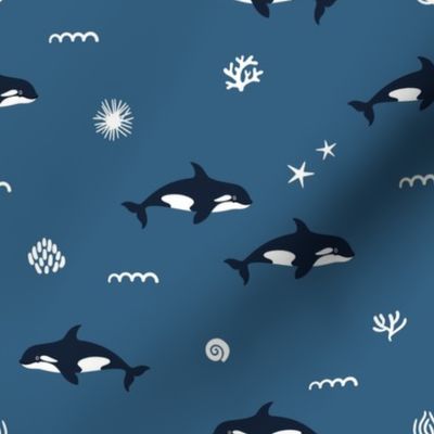 Orca whales. Blue background. Medium scale