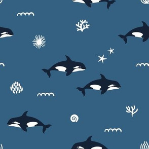 Orca whales. Blue background. Medium scale