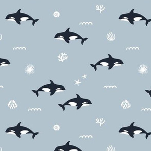 Orca whales. Small scale