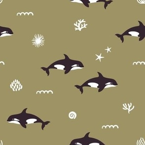 Orca whales. Olive background. Medium scale