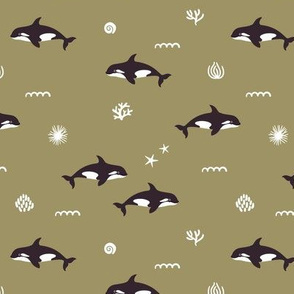 Orca whales. Olive background. Small scale