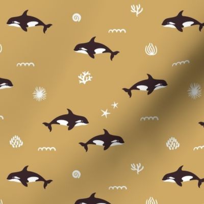 Orca whales. Mustard background. Small scale