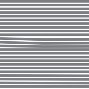 Venetian Stripe — gray & white