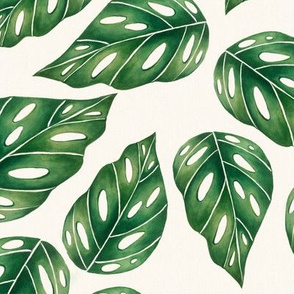 Watercolor monstera leaves