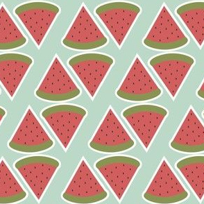 watermelon slices on a mint green background 