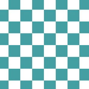Blue and white checker board - baby boy nursery design