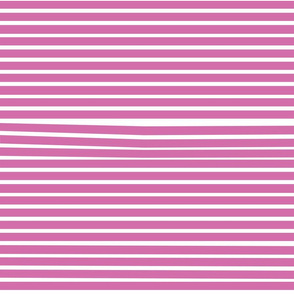 Venetian Stripe — pink & white