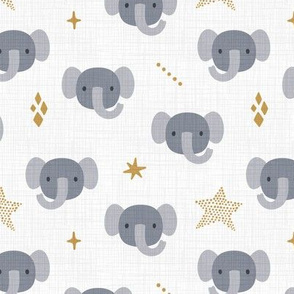 Elephants. White background. Medium scale