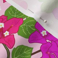 Gran's Aussie Rainforest #2 (Ulysses Butterfly) - pastel pink, medium 