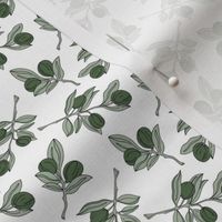Little olive branches summer garden texture green olive mint on white