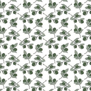 Little olive branches summer garden texture green olive mint on white