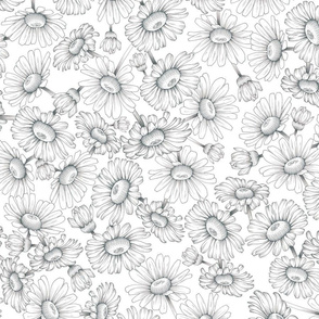 Flower Chamomile of Solar Plexus Chakra pattern grey lines