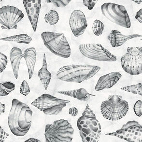 Seashells monochrome