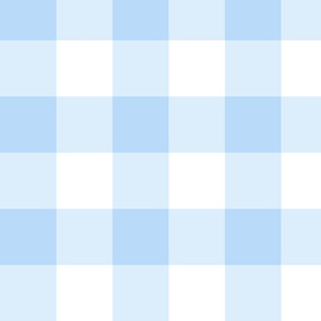 LIGHT SKY  BLUE gingham BIG