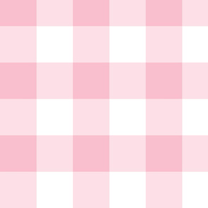 PINK gingham BIG