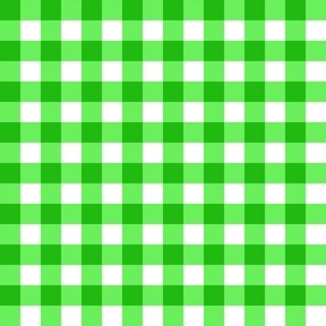 Gingham - Bright Camelot Greens White