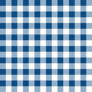 Gingham - Classic-Slate Blues White