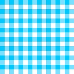 Gingham - Truest Blues White