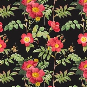 Roses - Small - Black