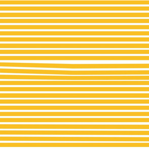 Venetian Stripe — yellow stripe
