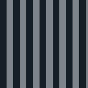 Vertical Awning Stripe Pattern - Obsidian and Steel Grey
