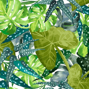 Tropical Leaves