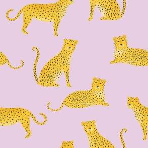 Cheetah on Lavender