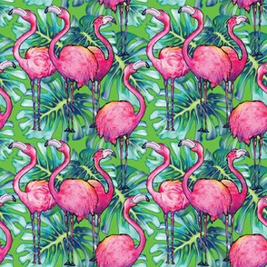 Tropical Flamingos