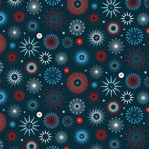 Paint the Sky July 4th Fireworks - Medium