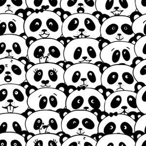 Funny Face Pandas