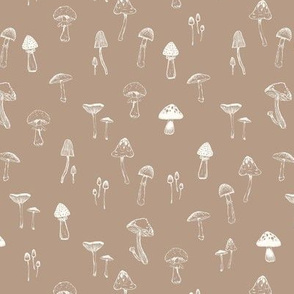 field of mushrooms - small taupe