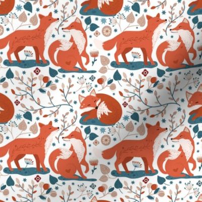 Scandinavian Nordic Red Foxes on White