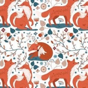 Scandinavian Nordic Red Foxes on White