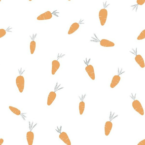 Carrots in white