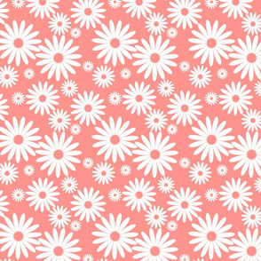 Jumbo Daisies in Coral and White