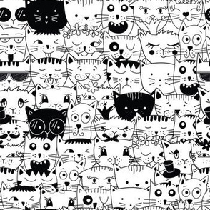 Black and White Cat Faces