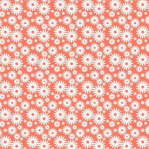 Mini Daisies in Neon Coral and White