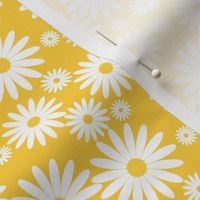 Mini Daisies in Goldenrod and White