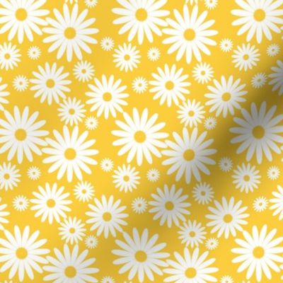 Mini Daisies in Goldenrod and White