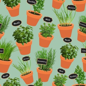 Potted Herbs mint green black tags