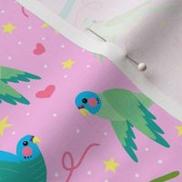 Parakeets on Pink