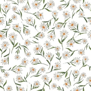 Loose Daisies on White