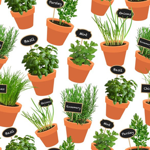 Potted Herbs white black tags