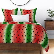 Watermelon Stripes  Distressed - EXTRA large scale