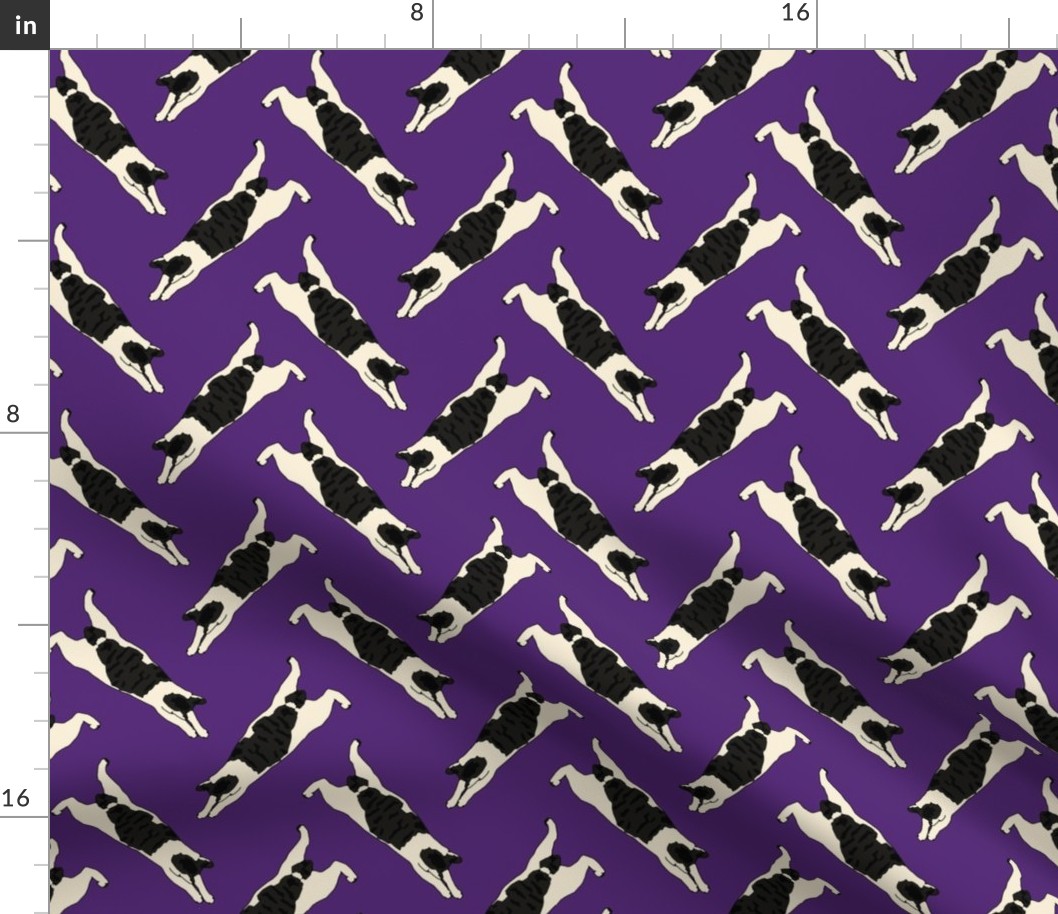 Purple Bobtail Cats